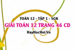 Giải Toán 12 trang 47 tập 1 Cánh Diều